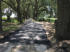 Residential Paving - 1,200’ Paved Driveway - Satlow Farm - Ocala, FL 2017