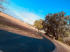 Residential Driveway